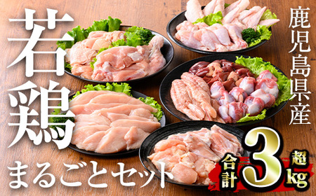 鹿児島県産 若鶏まるごとセット(計3.05kg) 小分け 鶏肉 セット[TRINITY]