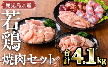 鹿児島県産 若鶏焼肉セット(計4.1kg) 小分け 鶏肉 セット[TRINITY]A470-v01