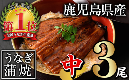 鹿児島県産うなぎ蒲焼セット[中](計330g・ 約110g×3尾) タレ・山椒付き 鰻 ウナギ 国産[西日本養鰻]A504-v01