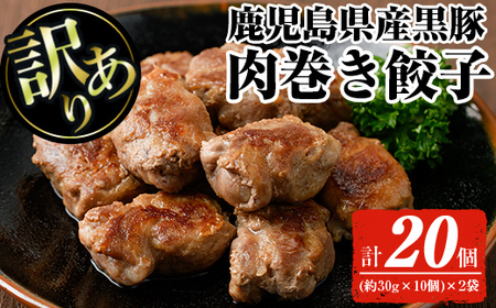 [訳あり][鹿児島県産黒豚使用!]黒豚肉巻き餃子(計20個・(約30g×10個)×2袋) 訳あり 餃子 惣菜[ナンチク]