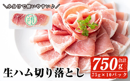 [2024年12月中に発送予定]国産豚生ハム切り落とし75g×10P(計750g) 生ハム おつまみ 小分け [ナンチク]A302-12-v01