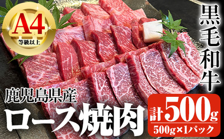 鹿児島県産A4等級以上黒毛和牛・ロース不揃い切り落とし焼肉 計500g(500g×1パック) 黒毛和牛 牛肉 切り落とし[ビーフ倉薗]