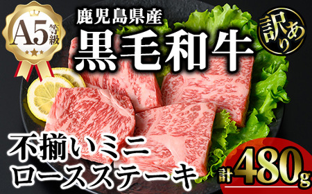 y󂠂zY A5 јa s [X ~j Xe[L(v480g)yKNOTz A641