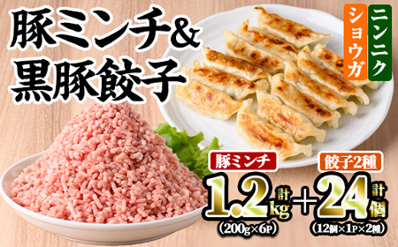 豚ミンチ6袋&黒豚餃子2種詰合せ (豚ミンチ:200g×6P・黒豚餃子(ショウガ):12個×1P・黒豚餃子(ニンニク):12個×1P) 鹿児島県産 豚ミンチ 餃子[株式会社南給]