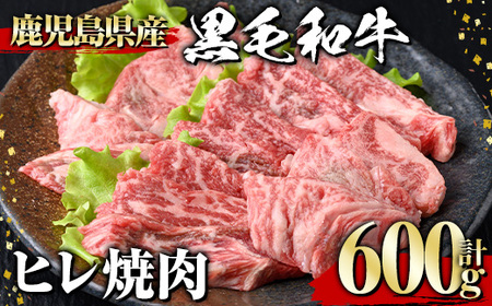 јa qē(600g) јa q ēy1129zA545