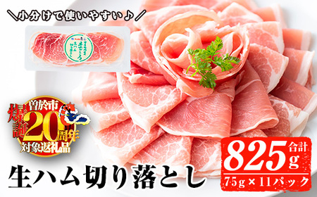 yԌIz2025N12ɔ\聄Yؐn؂藎Ƃ75g×11P(v825g) n ܂  yi`NzA302-12-v02
