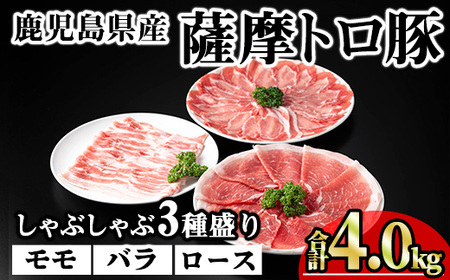 YFg؂Ԃ3퐷 (v4.0kg) Y ؓ  yKNOTz B192