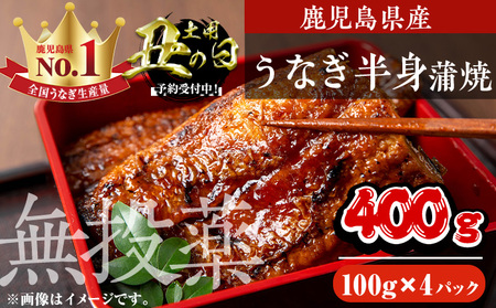 [丑の日先行予約受付中!]鹿児島県産うなぎ半身カットセット (100g×4パック、タレ・山椒付き) 鰻 かばやき 冷凍[西日本養鰻]A585-U