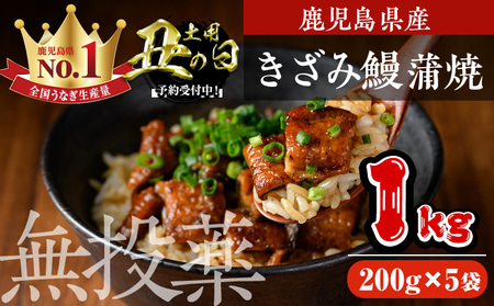 [丑の日先行予約受付中!]鹿児島県産うなぎきざみ蒲焼セット (200g×5袋) 鰻 かばやき 冷凍[西日本養鰻]B176-U