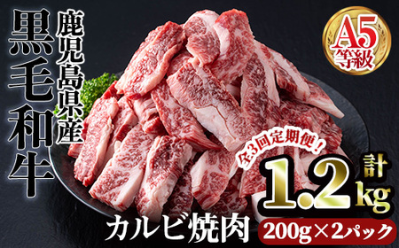 A5YјaJrē(v1.2kgE200g×2pbN×3) Jr ē јayJ~`NzT44