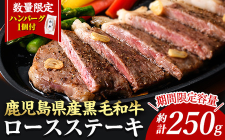 [14営業日以内に発送!][1枚・計約250g+ハンバーグ1個]4等級以上!鹿児島県産黒毛和牛ロースステーキ1枚セット 黒毛和牛 ステーキ 冷凍[ナンチク]B1-00