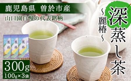 鹿児島県曽於市産 小さいお茶屋の深蒸し茶?麗椿?(茶葉100g×3本・合計300g) 国産 緑茶 深蒸し茶[お茶の山口園]A186-v01