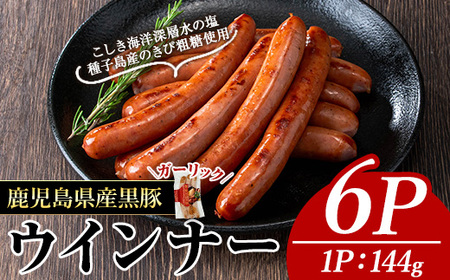 i`N̍MEGUMIECi[K[bN(6P)  ؓ ECi[yi`NzA773