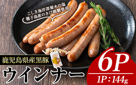 MEGUMIECi[WW[(6P)  ؓ ECi[yi`NzA772