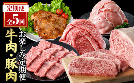 [定期便・全5回(連続)]毎月違うお肉をお届け!お楽しみ定期便 (合計2.66kg以上) 牛肉 豚肉 定期便 [ナンチク]