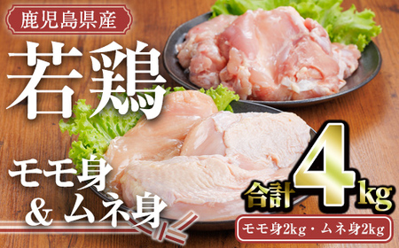 Y{Zbg(v4kgE2kgAl2kg)  Ⓚ ZbgyTRINITYzA758
