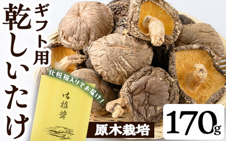 Mtgp  (170g) VC^P ̂ 퉷yT[rX(^}`Vbv)zA741