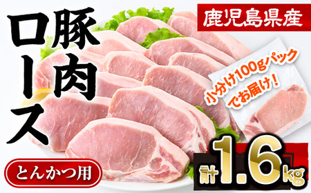 鹿児島県産豚肉ロースとんかつ(計1.6kg・100g×16P) 豚肉 ロース とんかつ[株式会社羽根]