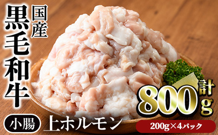 [鮮度抜群!]国産黒毛和牛小腸(上ホルモン計800g) ホルモン 焼肉 黒毛和牛[カミチク]