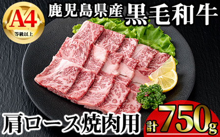 [数量限定]鹿児島県産黒毛和牛A4等級以上肩ロース焼肉用 (計750g+黒毛和牛こま切れ250g×1P) 鹿児島県産 牛肉 冷凍 [KNOT] A806-v01