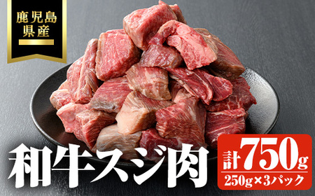 鹿児島県産和牛スジ肉 計750g(250g×3P) 黒毛和牛 牛肉 スジ[ビーフ倉薗]
