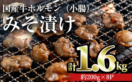 国産牛ホルモン(小腸)みそ漬け(計1.6kg・約200g×8パック) 牛肉 ホルモン みそ漬け[おきどき]