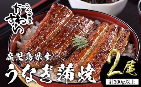 ＜うなぎ屋かわすい＞【OPEN記念！きざみ鰻セット！】鹿児島県産 国産うなぎ蒲焼 (計375g以上 / 1本あたり150～169g×2本・計300g以上 ＆ きざみ鰻 75g) タレ入り 鰻 うな重 かばやき【川口水産】A854-v01