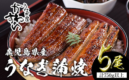 ＜うなぎ屋かわすい＞【OPEN記念！きざみ鰻セット！】鹿児島県産 国産うなぎ蒲焼 (計825g以上 / 1本あたり150～169g×2本・計750g以上 ＆ きざみ鰻 75g) タレ入り 鰻 うな重 かばやき【川口水産】A857-v01