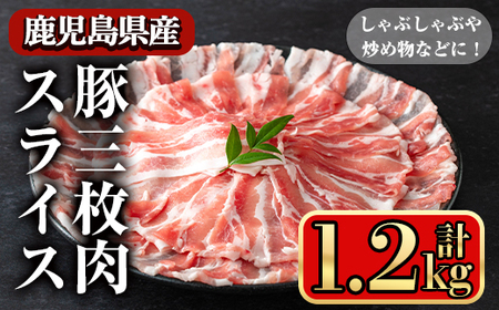 Y OXCX ԂԌ (1.2kg) ؓ o XCXyXgA[zA860