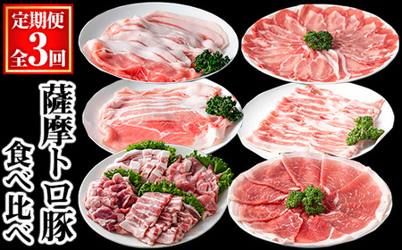 [定期便・全3回]薩摩トロ豚食べ比べ定期便 (合計5.5kg) 豚肉 小分け 冷凍 [KNOT]
