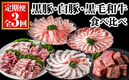 [定期便・全3回]黒豚・白豚・黒毛和牛の定期便 (合計3.2kg) 豚肉 牛肉 冷凍[KNOT]