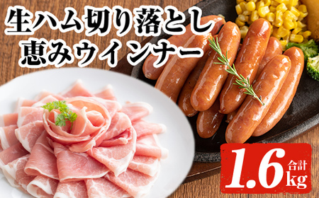[2025年10月中に発送予定]国産豚生ハム切り落とし・業務用荒挽き恵みウインナー(合計1.6kg) 生ハム おつまみ 小分け [ナンチク]A941-10