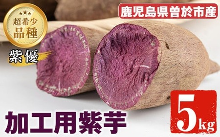 [数量限定]紫芋 加工用さつまいも紫優(5kg)[瀬崎農園]A418-v01