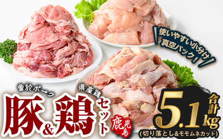 ]|[N؂藎Ƃ&Y{ElZbg(v5.1kg) ؓ { yRanazA847