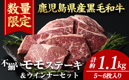 v1.1kg{ECi[2܁4ȏIY јa s  Xe[L(v1.1kgE5`6)yi`NzA896-v01