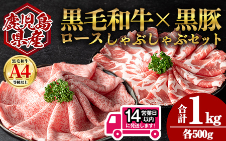 [14営業日 以内発送!]鹿児島県産 黒毛和牛 ロース × 黒豚 肩ロース しゃぶしゃぶ セット (合計1kg・各500g) 国産 牛肉 豚肉[肉のちょーさん]