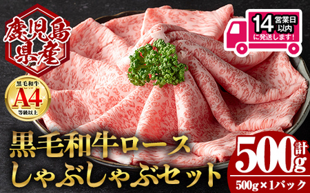 [14営業日 以内発送!]鹿児島県産 黒毛和牛 ロース しゃぶしゃぶ用 セット (計500g・500g×1) 国産 牛肉[肉のちょーさん]