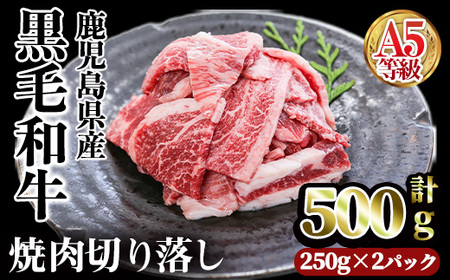 A5 等級 鹿児島県産 黒毛和牛 焼肉 切落し (計500g・250g×2パック) 切り落とし 焼肉 黒毛和牛【カミチク】A1004