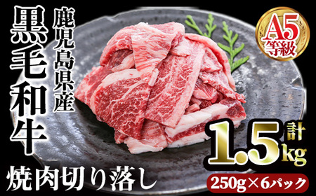 A5Yјaēؗ(v1.5kgE250g×6pbN) ؂藎Ƃ ē јayJ~`NzA1006