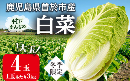 ≪期間限定≫村下さんちの白菜(約3kg×4個) 白菜 はくさい 野菜[曽於市観光協会]