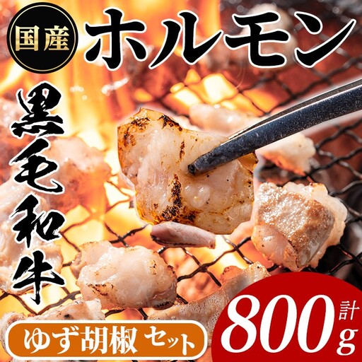 国産 黒毛和牛 ホルモン 計800g(400g×2P)&ゆず胡椒(1個) 牛肉 【ナンチク】A994
