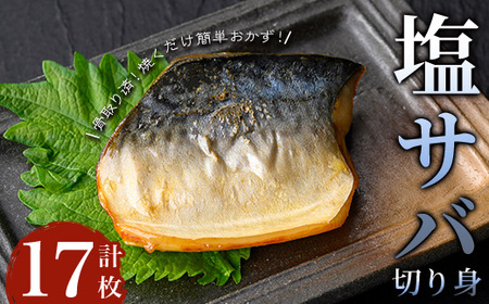 【骨取り】塩サバ切り身(計17枚) 塩サバ 真空 冷凍【小迫ストアー】A921