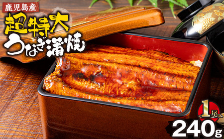 鹿児島産 超特大 うなぎ蒲焼 ( 無頭 ) (計240g以上・240g以上×1尾) 鰻 蒲焼き 真空パック[株式会社財宝]A1041