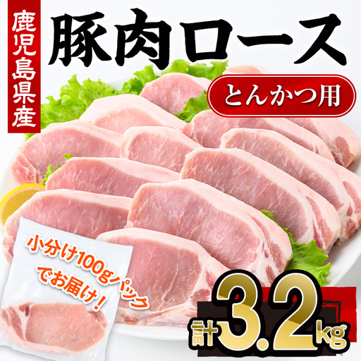 鹿児島県産 豚肉 ロース とんかつ (計3.2kg・100g×32P) 【株式会社羽根】A1083