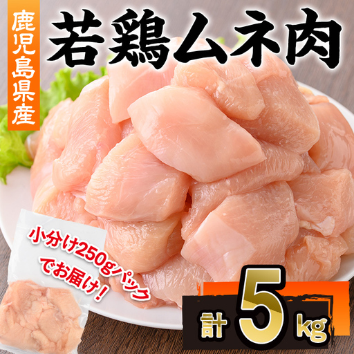 鹿児島県産 若鶏 ムネ肉 (計5kg・250g×20P)  冷凍 【株式会社羽根】A1090