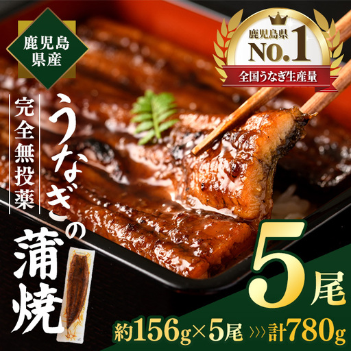 うなぎ 鹿児島県産 蒲焼 うなぎ 【薩摩川内鰻】 A1115