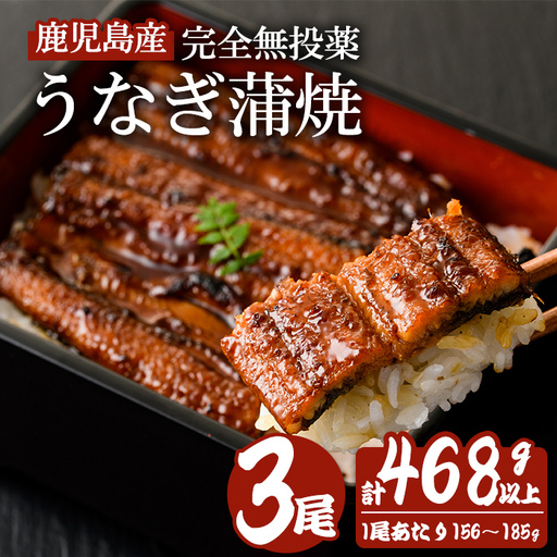 鹿児島産うなぎ蒲焼(無頭) (計468g以上・156g〜185g×3尾) 鰻 蒲焼き 真空パック[株式会社財宝]A1117