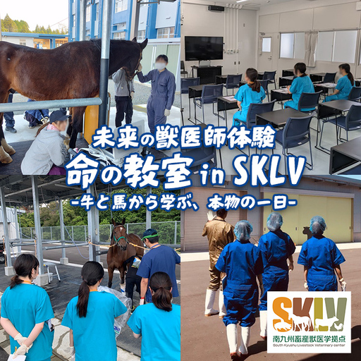 [ 未来 の 獣医師 体験 ]命 の 教室 in SKLV - 牛 と 馬 から 学ぶ、本物 の 一日 - (対象 年齢:小学生 〜 高校生 / 1名) 獣医学 体験チケット [SKLV そお]