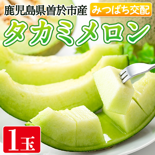 タカミメロン(1個入・1.6kg〜) メロン 青肉 果物[曽於市観光協会]A1136