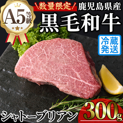 鹿児島県産 A5 黒毛和牛 極厚 シャトーブリアン (計300g・300g×1枚) [KNOT]